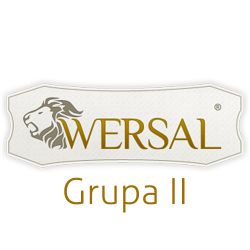 Wersal_GrupaII.jpg