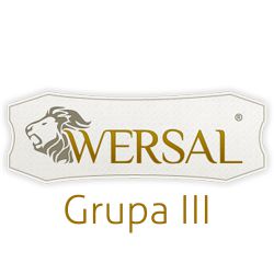 Wersal_GrupaIII.jpg